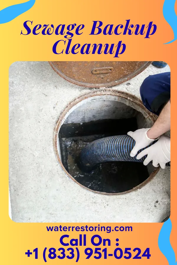 Sewage Backup Cleanup in Mound City, IL